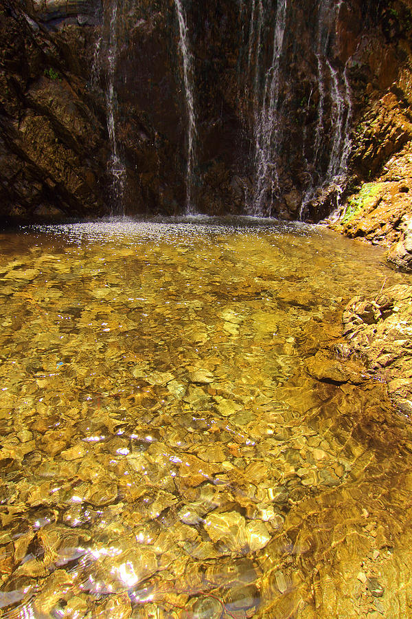 Bonita Falls Golden Water Photograph by Viktor Savchenko