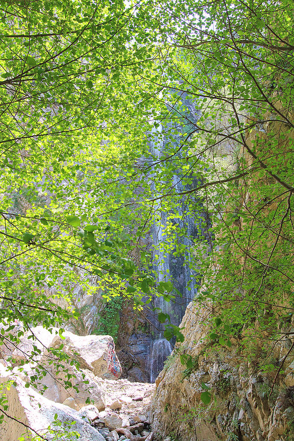 Bonita Falls In April Photograph by Viktor Savchenko