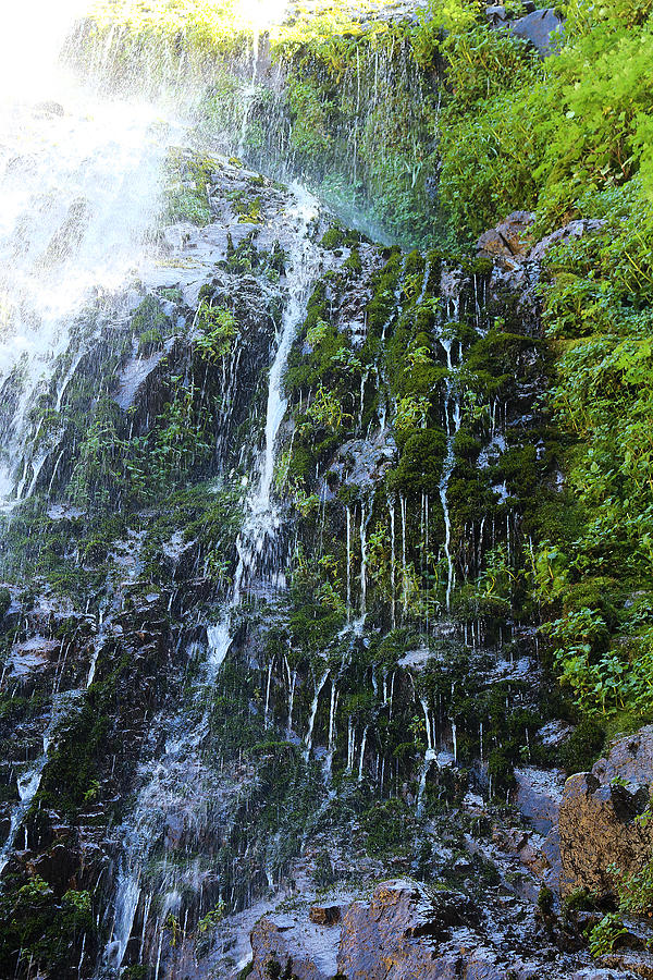 Bonita Waterfalls In 2017 Photograph by Viktor Savchenko