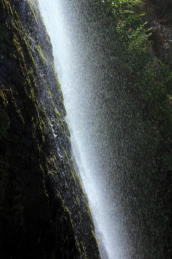 Bonita Waterfalls In Profile Photograph by Viktor Savchenko
