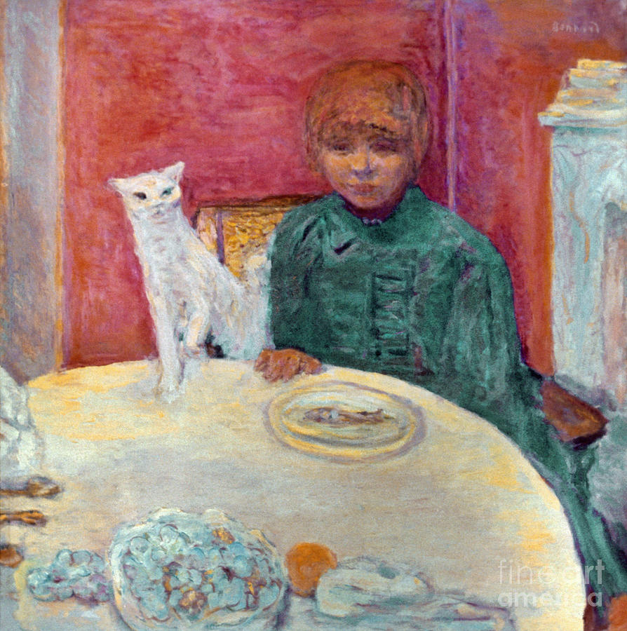 Cat Photograph - Woman And Cat, 1912 by Pierre Bonnard