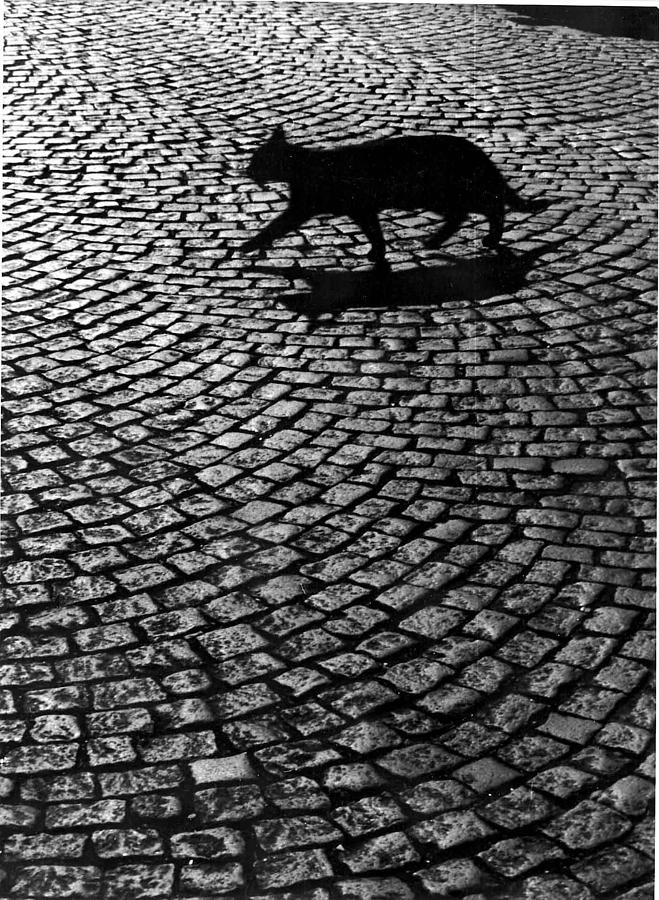 Cityscape Photograph - Bonne Chance by Gordon Lukesh Cityscape Photograph - Bonne Chance by Gordon Lukesh