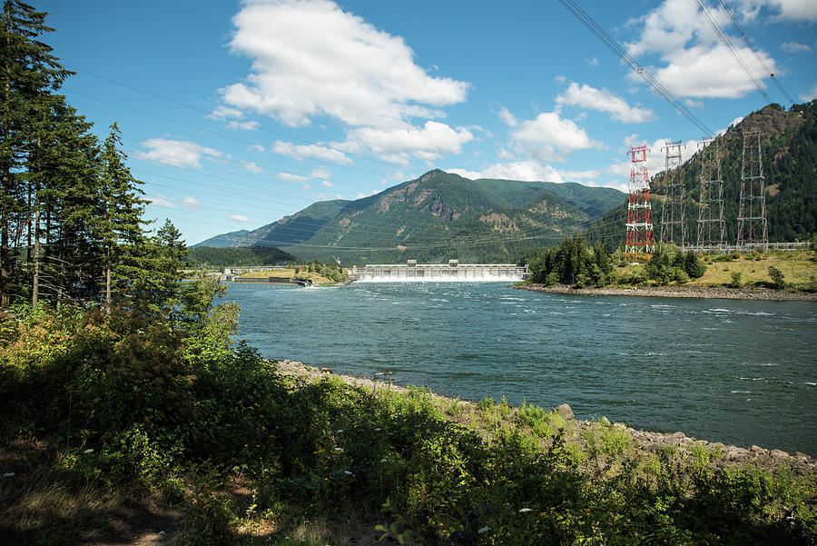 Bonneville Dam Trees and Towers Photograph by Tom Cochran