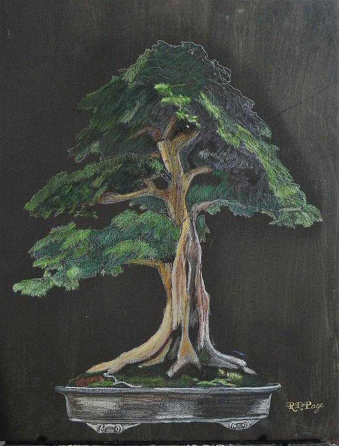 Bonsai #1 Painting by Richard Le Page