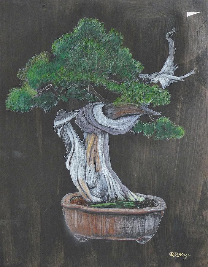 Bonsai #2 Painting by Richard Le Page