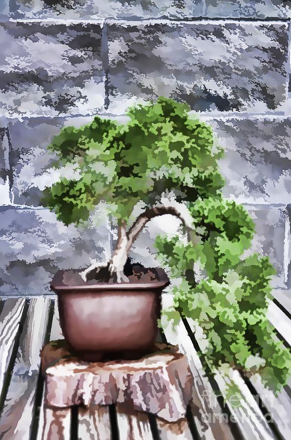 Nature Painting - Bonsai  by Jeelan Clark