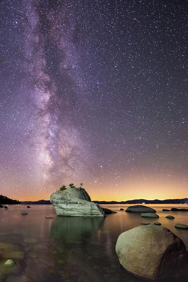 Bonsai Milky Way 2X3 Photograph by Joe Kopp