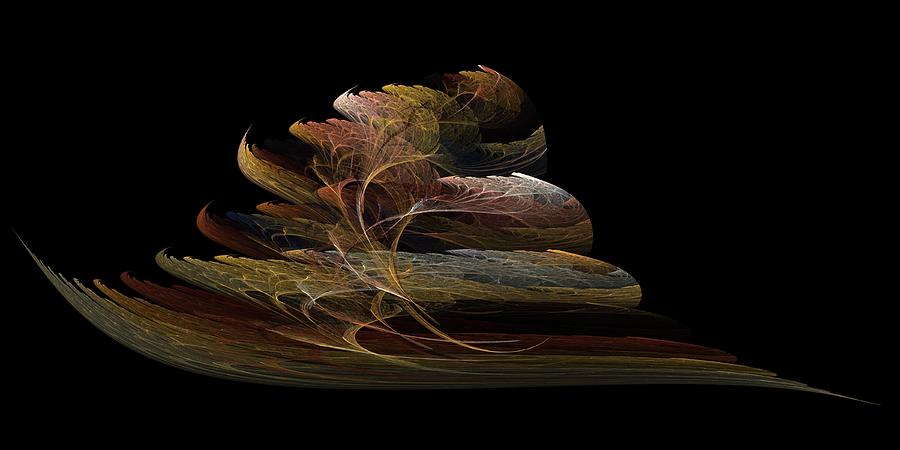 Bonsai on Black Digital Art by Richard Ortolano