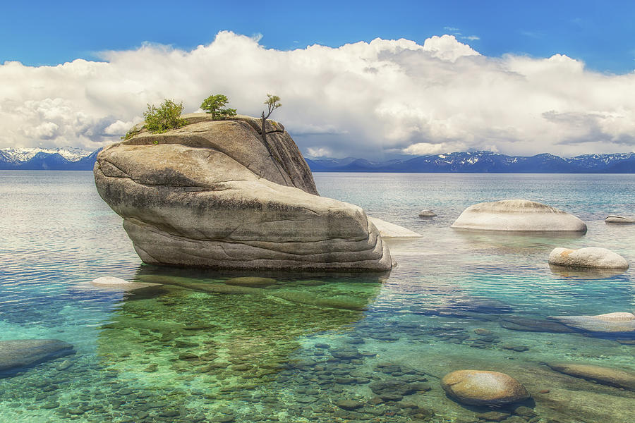 Bonsai Rock and Clouds Photograph by Marc Crumpler