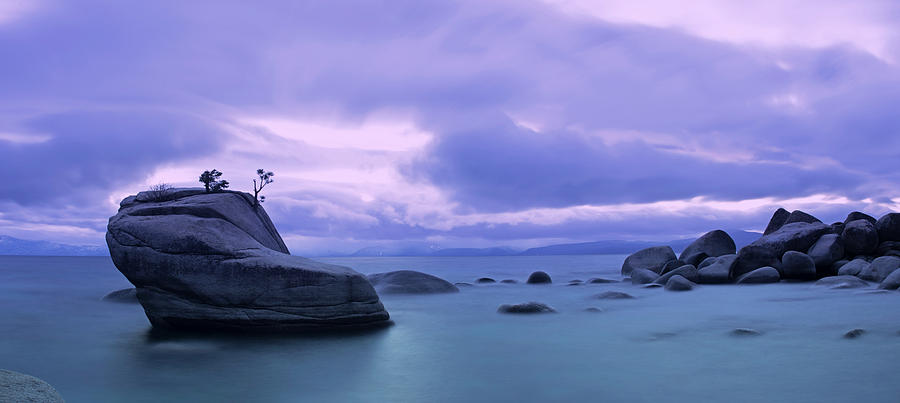 Bonsai Rock Blues by Brad Scott Photograph by Brad Scott