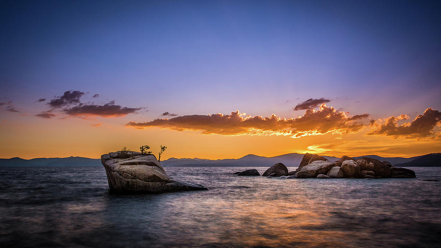 Bonsai Rock Photograph by David Downs