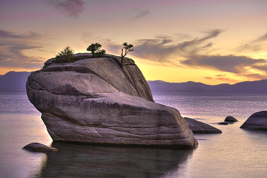 Bonsai Rock II Photograph by Mark Harrington