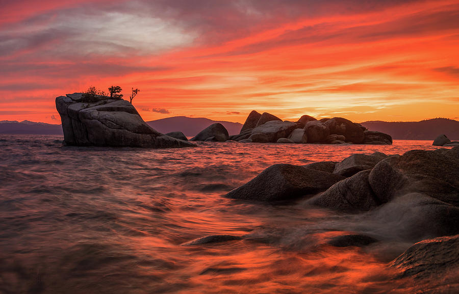 Bonsai Sunset Photograph by Janet Kopper