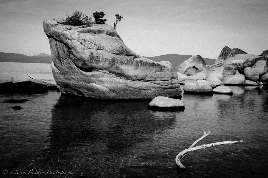 Bonsai Rock Photograph by Misty Tienken