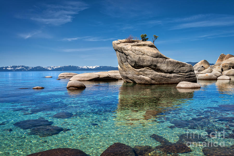 Nature Photograph - Bonsai Rock Spring Day by Dianne Phelps