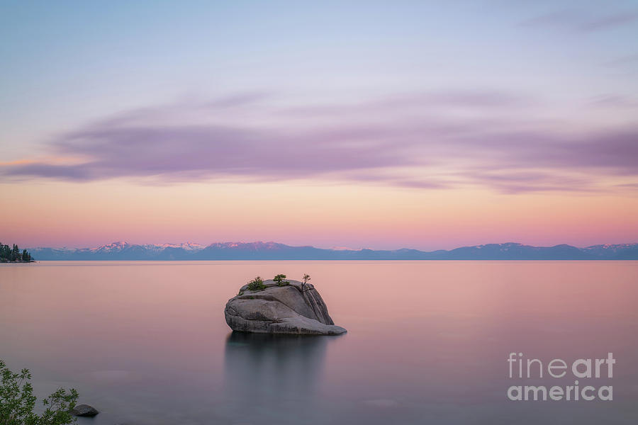 Bonsai Rock Sunrise Photograph by Michael Ver Sprill