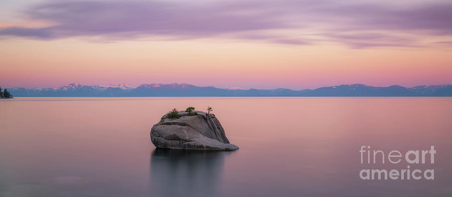 Bonsai Rock Sunrise Pano Photograph by Michael Ver Sprill