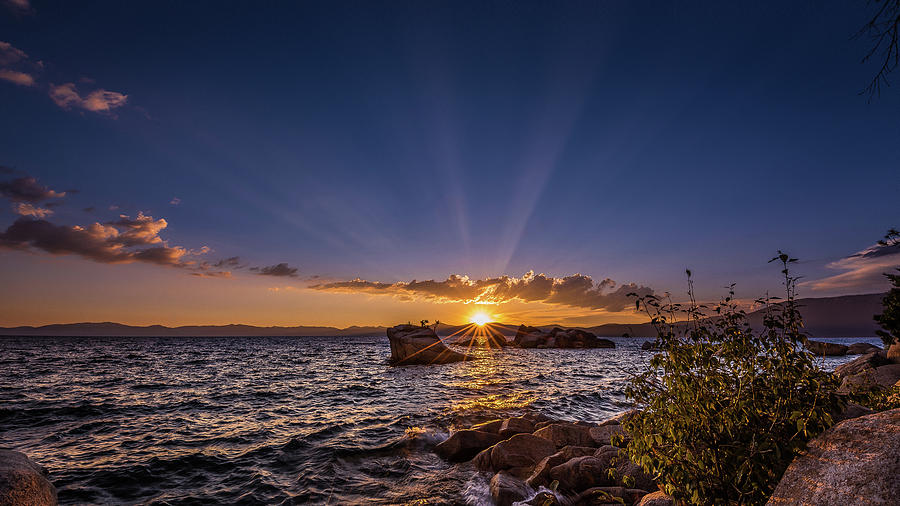 Bonsai Rock Sunset Photograph by David Downs
