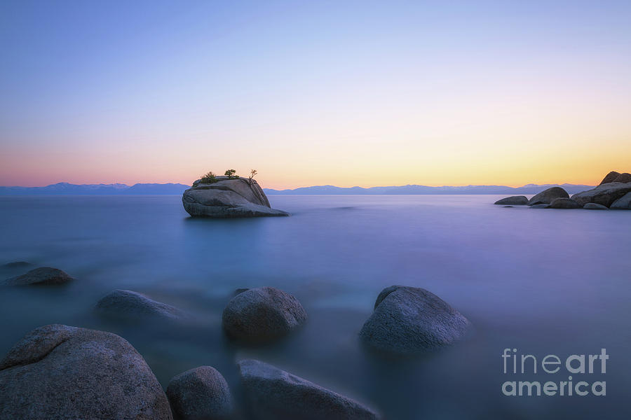 Bonsai Rock Sunset Photograph by Michael Ver Sprill
