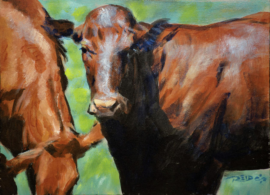 Bonsmara Cow Painting by Christopher Reid