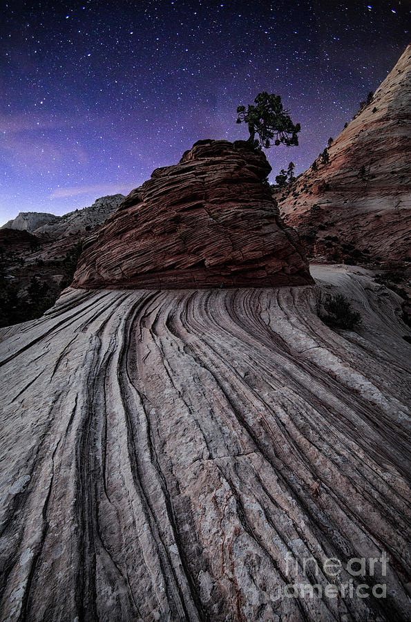 Bonzai in the Night Utah Adventure Landscape Photography by Kaylyn Franks Photograph by Kaylyn Franks