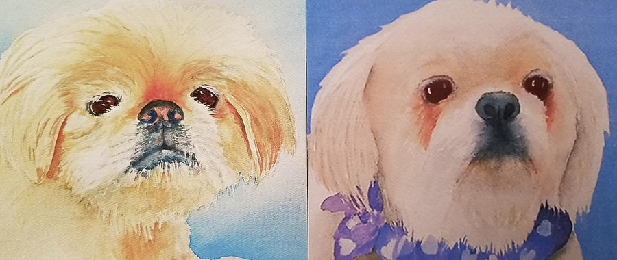 BooBoo Baxter H Painting by Judy Mercer