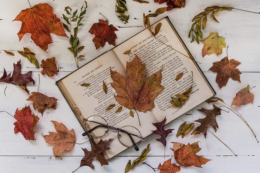 Book of Autumn Photograph by Kim Hojnacki