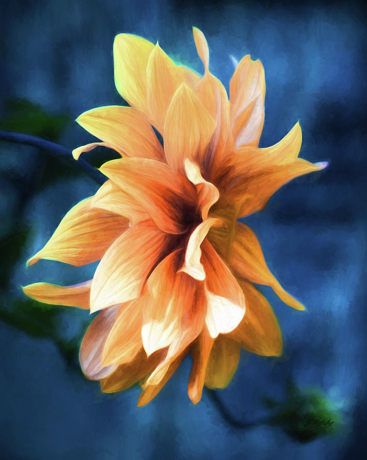 Book Of Days - Flower Art Painting by Jordan Blackstone
