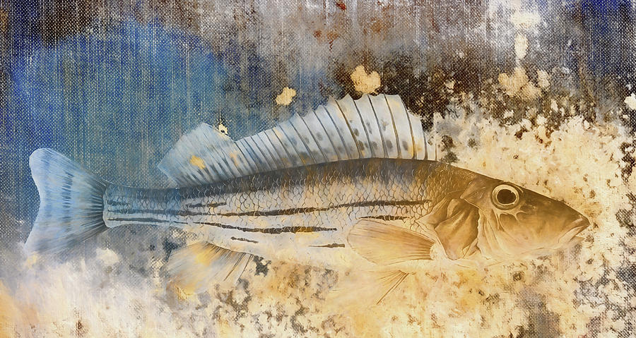 Fish Photograph - Book of Fish Collage by Carol Leigh