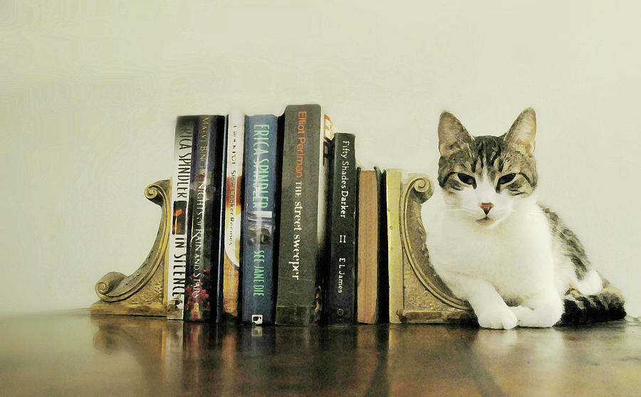 Book Smart Cat Photograph by Diana Angstadt