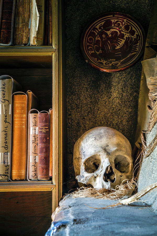 Bookcase Skull Photograph by Jack Nevitt