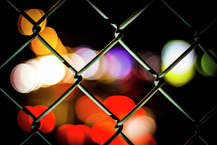 Boomers Beyond the Fence Photograph by Kyle Field Boomers Beyond the Fence Photograph by Kyle Field