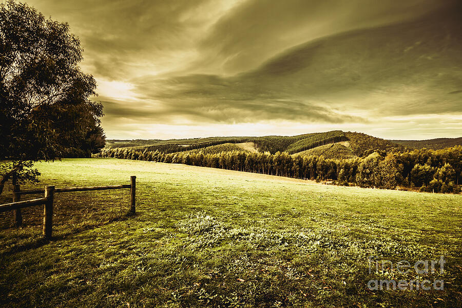 Boonah countryside Photograph by Jorgo Photography