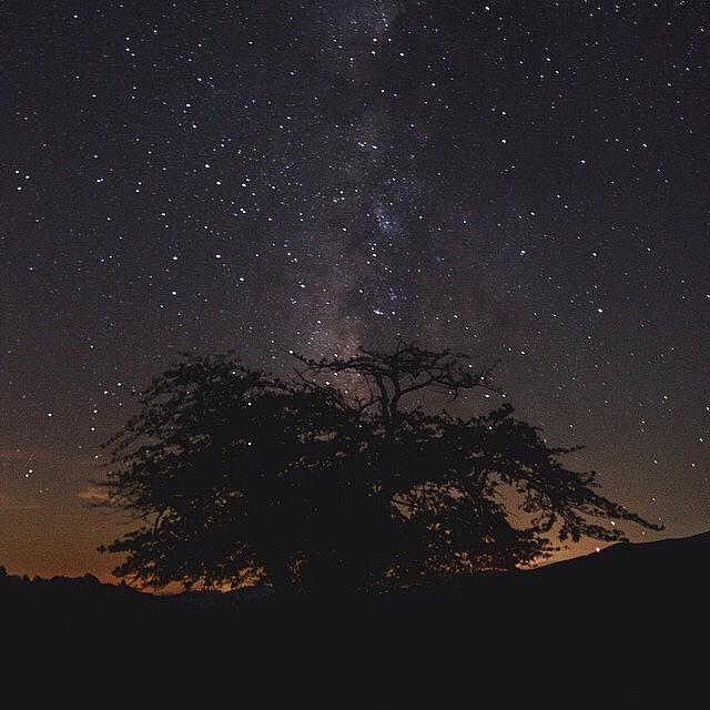 Boone, By: @dillonmakar // Photograph by Blue Ridge Moments
