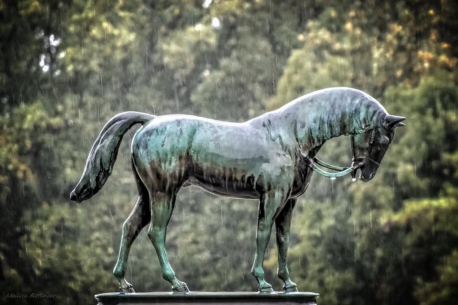 Boones Horse, Memorial Statuary Photograph by Melissa Bittinger