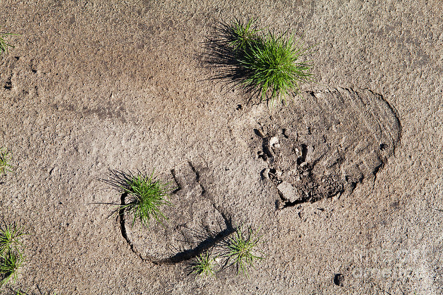 Sand Photograph - Boot Print in the Desert by Sharon Foelz Sand Photograph - Boot Print in the Desert by Sharon Foelz