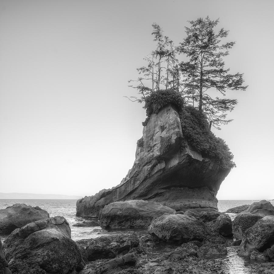 Black And White Photograph - Boot Rock by Chad Tracy