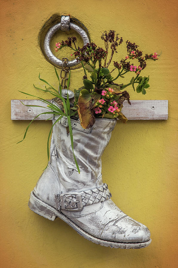 Boot Vase Photograph by Carlos Caetano