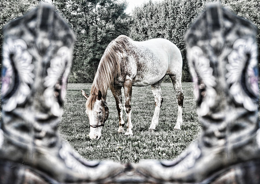 Booted Gelding Photograph by Sharon Popek