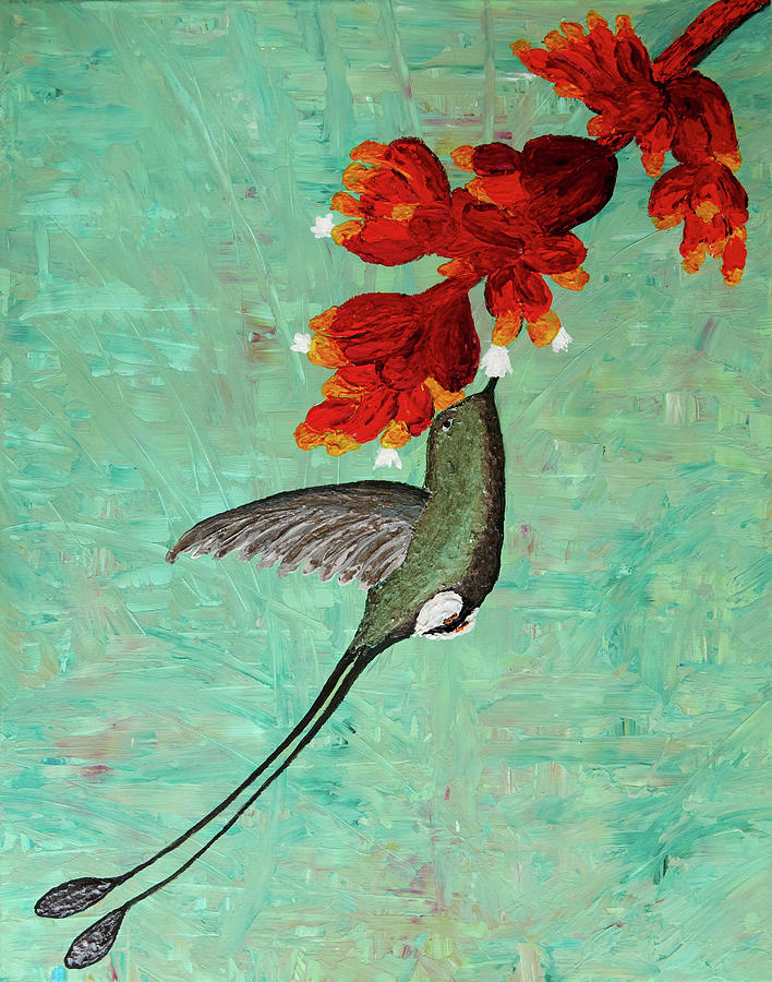 Booted Rackettail Painting by Patricia Beebe