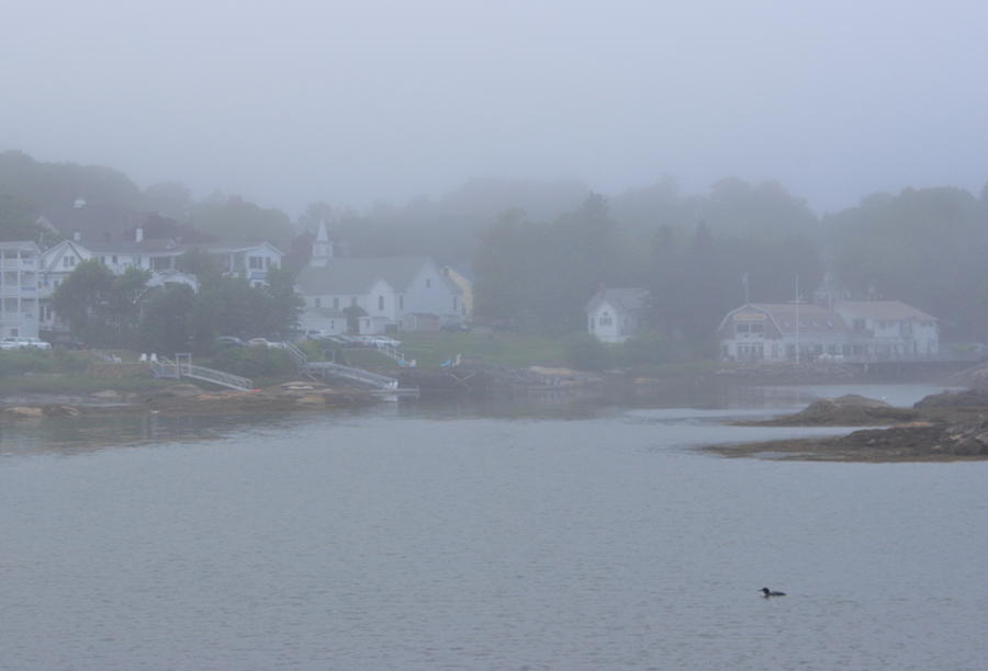 Boothbay Harbor Loon In Fog Photograph