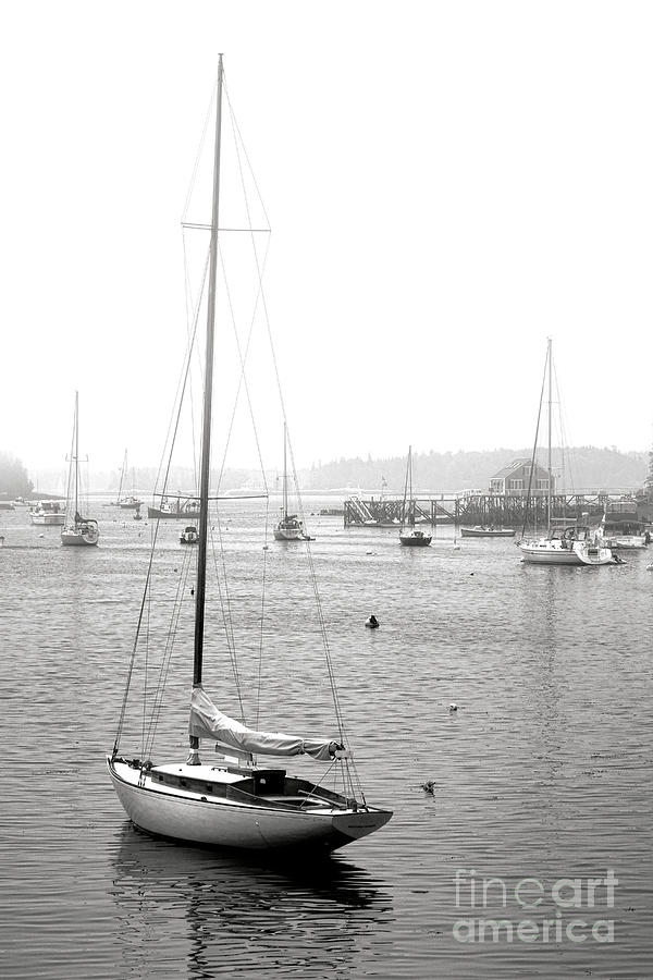 Boat Photograph - Boothbay Harbor Memories by Olivier Le Queinec