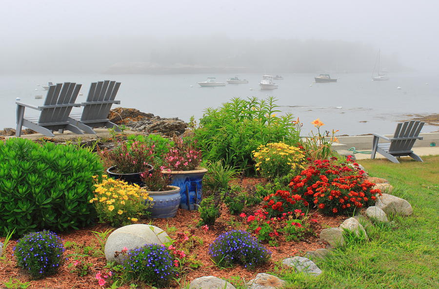 Boothbay Maine Ocean Point Flowers And Fog Photograph