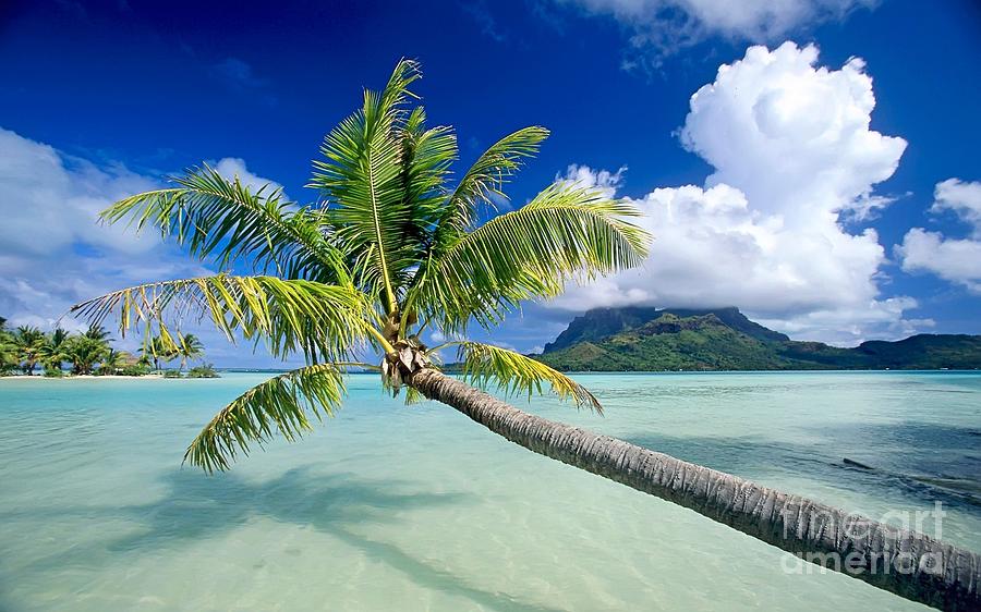 Nature Photograph - Bora Bora Beach by Andy Maryanto