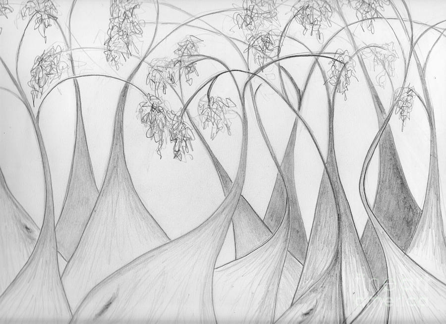 Boranup Forest Drawing by Leonie Higgins Noone
