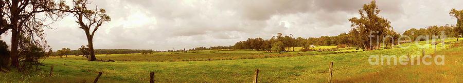 Boranup Pasture Panorama Photograph by Cassandra Buckley