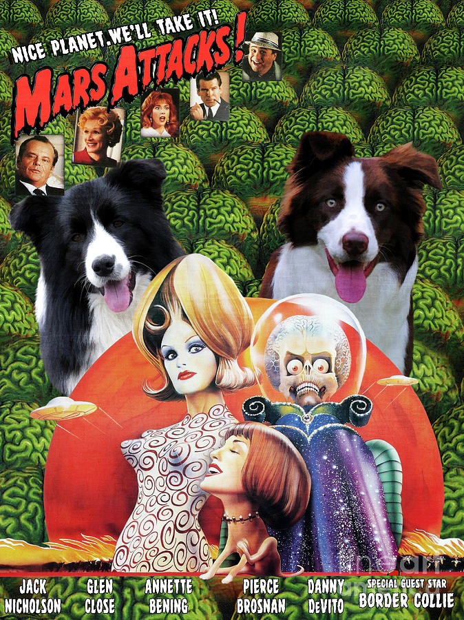 Dog Painting - Border Collie Art Canvas Print - Mars Attacks Movie Poster by Sandra Sij