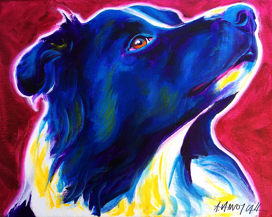 Animal Painting - Border Collie - Bright Future by Dawg Painter