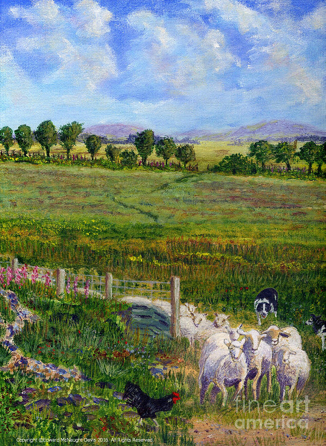 Border Collie Dogs Driving Sheep through Welsh Farmland Gate Painting by Edward McNaught-Davis