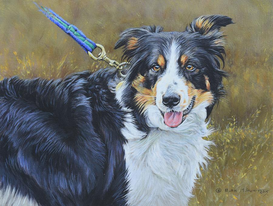 Dog Painting - Border Collie Portrait by Alan M Hunt